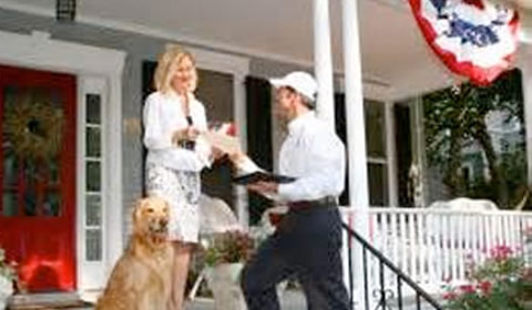 Residential Pest Control