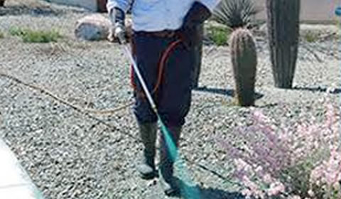 Industrial Weed Control